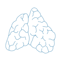 Thymus