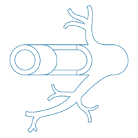 Vascular system