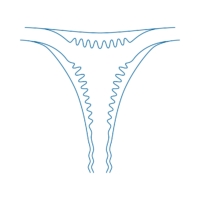 Endometrium