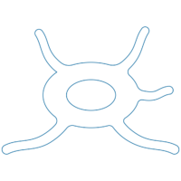 Mesenchymal stem cells (MSCs)