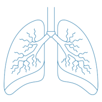 Lung