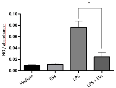 Monitoring inflammatory reaction in macrophages_WJ_MSC_TERT273